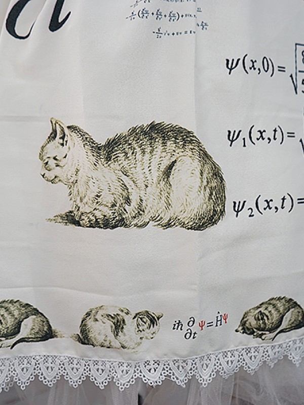 +Schrödinger's Cat+ Skirt016 +Schrödinger's Cat+ Skirt016