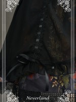 Corset Overskirt