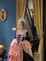Mrs Pompadour Elegant Vintage Gown One-piece Mrs Pompadour Elegant Vintage Gown One-piece