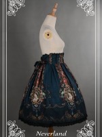 Vintage Palace Print Rococo Story Lolita Skirt