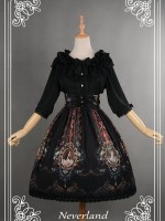 Vintage Palace Print Rococo Story Lolita Skirt