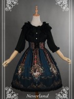 Vintage Palace Print Rococo Story Lolita Skirt