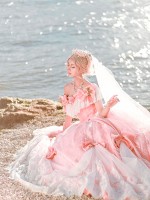 Rose Song Elegant Vintage Gown One-piece Rose Song Elegant Vintage Gown One-piece