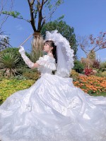 Rose Song Elegant Vintage Gown One-piece Rose Song Elegant Vintage Gown One-piece