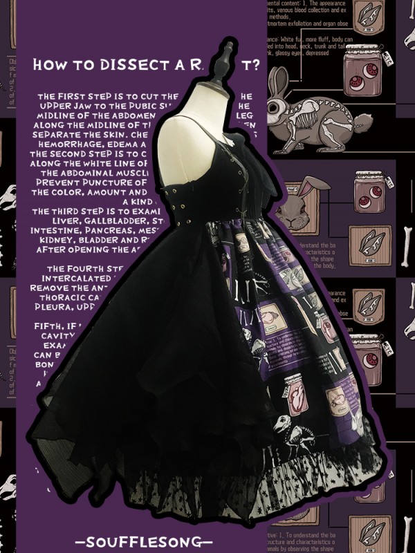 Dissecting Bunny Gothic Jumperskirt Type 2 Dissecting Bunny Gothic Jumperskirt Type 2